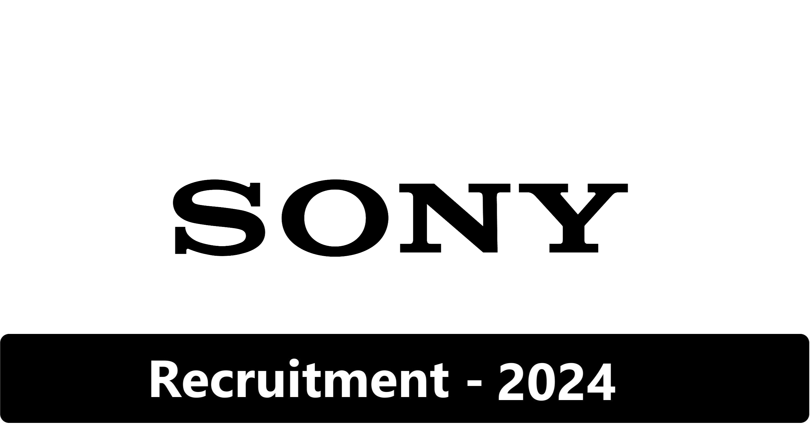 Sony Software Development Summer Internship 2024